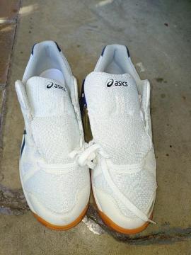 ASICS ̈كV[Y zCg/lCr[  TSY102    QXcm  gpi