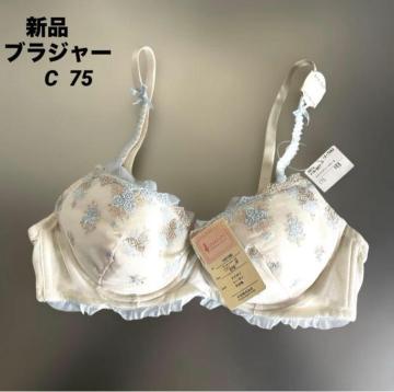 [�V�i] �K�N�h�J����t�������{���@�u���W���[�@C75