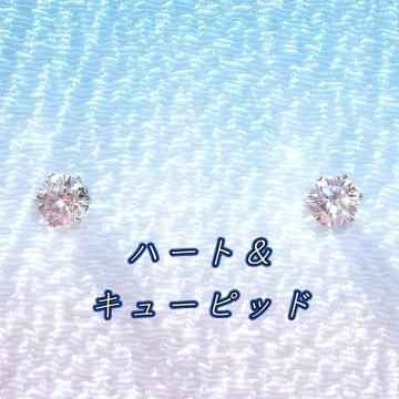  FH&C PQ ΃AM[XeXCZsAX(5mm