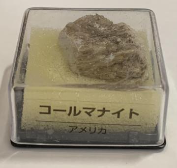 yzfBASXeB[j gW[Xg[ R[}iCg AJ ẑ qȂ