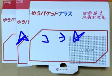 䂤pPbgvX p 3 Vigp 󂠂 {X