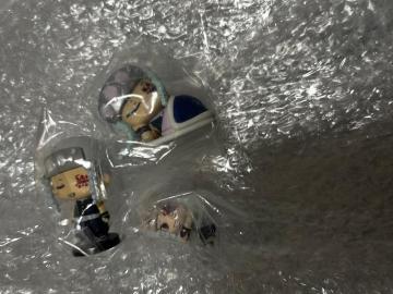 �S�ł̐n�@�F���V���@�}�X�R�b�g