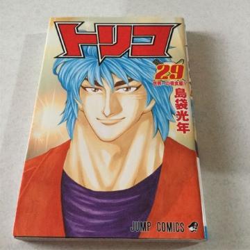 gR 29