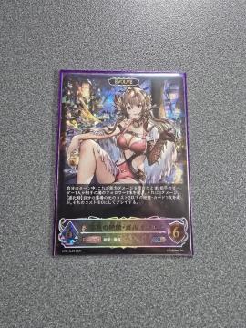 �V���h�E�o�[�X ���̂̐⌆�E�K���~�[�� SL