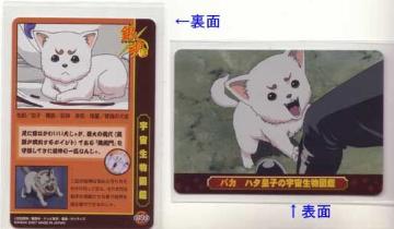 ⍰ZZgJ@n^cq̉F}ӃJ[h@Z-090@q