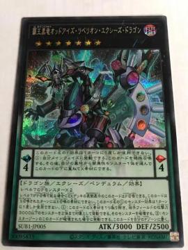 VY eIbhACYExIEGNV[YEhS SUB1-JP005 V[NbgA