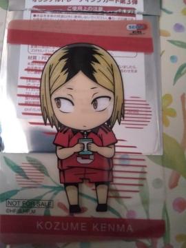 SEIMS�~�y�n�C�L���[!!�z�R���{�g���J�E����R�i��