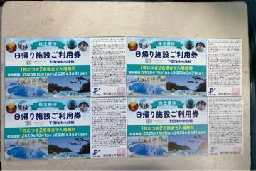 藤田観光株主優待券 日帰り施設ご利用券 4枚