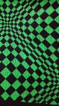 ���V�i���o���_�i���􉽊w����black/green��