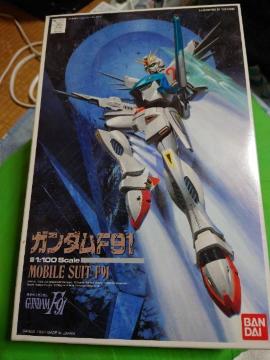 F91 1/100 F91