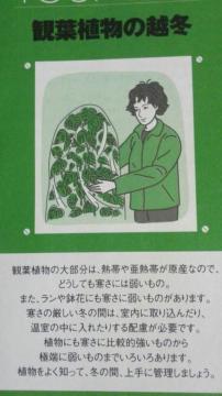 K[fjOϗtẢz~q