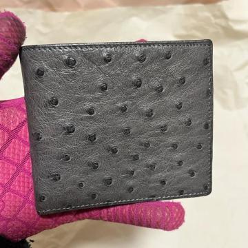 �����G�L�]�`�b�N���U�[ �I�[�X�g���b�` ��܂���z ���K����t �R���p�N�g