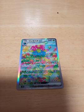 �t�V�M�o�iex SAR