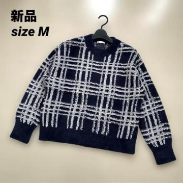 [Vi] `FbNjbg@Z[^[@炩jbg