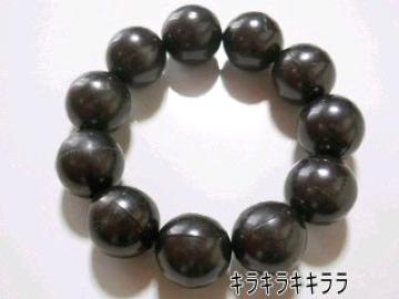 sNewtCanCamޯĶװ嗱߰ްڽ<ׯ>