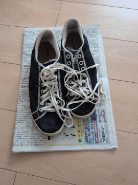 �A�f�B�_�X �����b�V���X�j�[�J�[