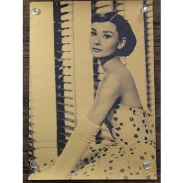 Viy|X^[zAudrey Hepburn^I[h[Ewvo[@ԕhX