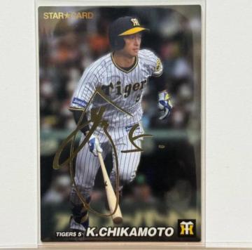 yTCJ[hz ߖ{i v싅`bvX 2022 _^CK[X