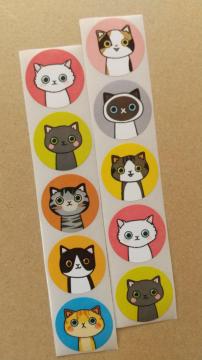 �L�̃J���t������V�[���@�Q�V�[�g