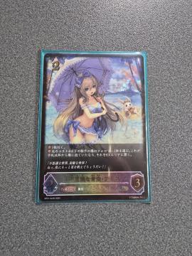 �V���h�E�o�[�X �s�v�c�Ȑ�E�A���X SL