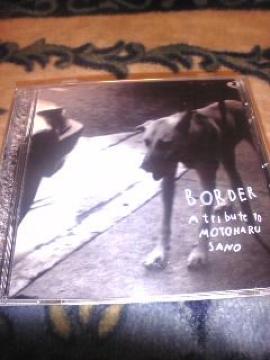 쌳tޭCD,쑺ؤڲ޽