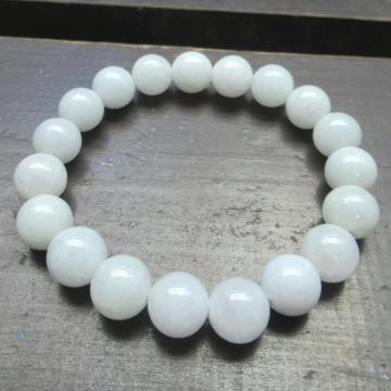 10~ʁ@{ŐEWF_CguXbg@VR