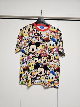 DISNEY  RESORT  LN^[ TVc  L AI