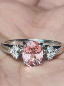 pt900ՂՂsN̕΂ƃ_C񃊃O