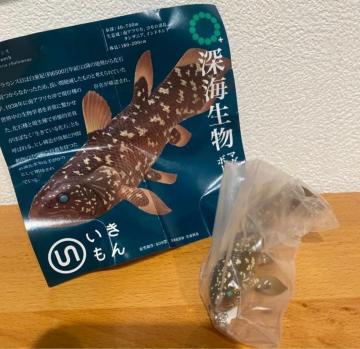 �[�C����