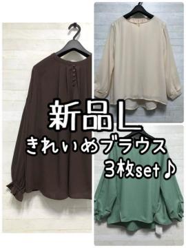 新品☆L♪きれいめブラウス3枚♪かわいい・ゆったりなど使える3枚♪☆Q466