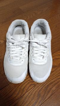 NIKE AIR MAX iCL GA}bNX Xj[J[