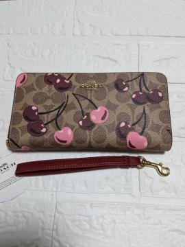 COACH�����z�@�V�O�l�`���[�`�F���[