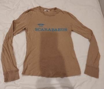 SCARABAEUS S@ZUCCA@x[W@TVc@re[W