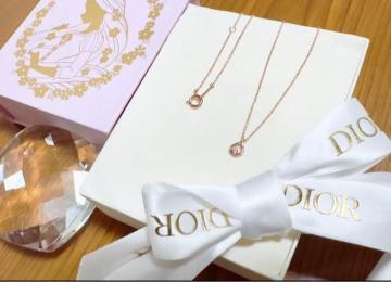 ���v���c�F���@�l�b�N���X