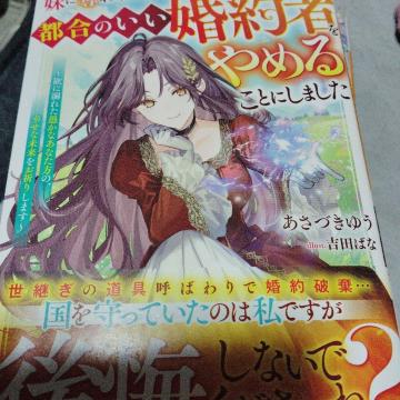 ���ɒD��ꂽ�̂ł��̓x�߂ł����s���̂�������҂���߂邱�Ƃɂ��܂���