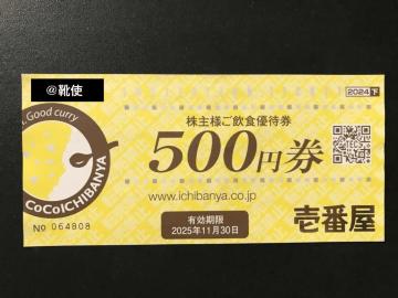 【即決】カレーハウスCoCo壱番屋 ココイチ 株主優待券 500円分 ☆同梱発送/ポイント/ミニレター可