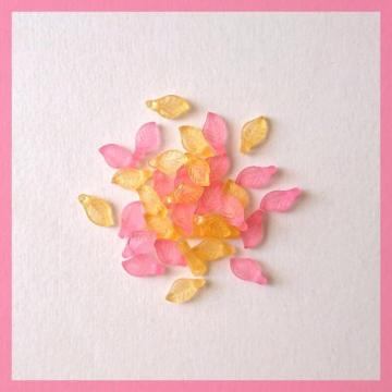 �w����50�ψꁟ�x�~�j�t���σr�[�Y���s���N���R�������v30������Xmm���A�N������