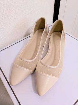 �T���v���V�e���C���p���v�X��S��SIMPLICITE������600�`