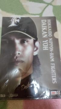 日ハム時代☆陽岱鋼ファイル