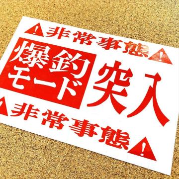 ރ[h˓JbeBOXebJ[ 20cmTCY\ ނ   A[ Cނ N[[{bNX