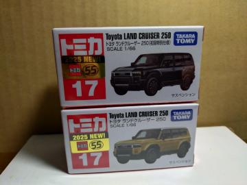 yNo.17z ޸ٰް 250 ʎdl&ʏ평ž