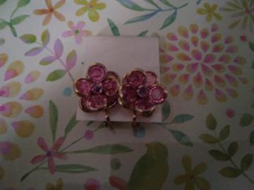 ���[�Y�s���N�n�X�g�[�����ԃC�������O�������B�^/�P�n�ɑ���