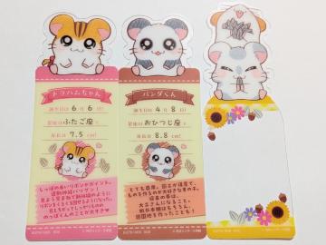 �Ƃ��Ƃ��n�����Y/�u�b�N�}�[�N�R���N�V����/3���Z�b�g/�g���n�������/�p���_����/���������񁕃n�����Y/���o�y�C