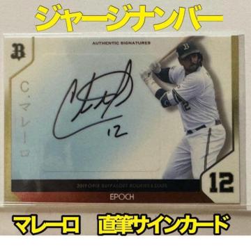 yW[Wio[/29z}[ MTCJ[h EPOCH 2019 IbNX ot@[Y