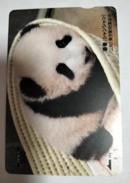 NIJ[h@p_@VV@500~ gp@