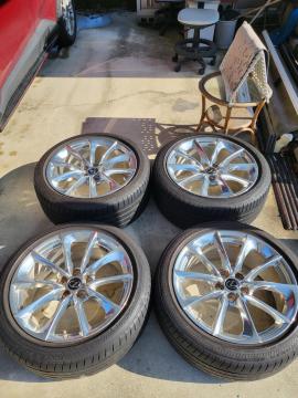 ���N�T�XLC����