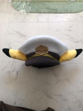 �L���v�e���s�J�`���E�@�ڂ���