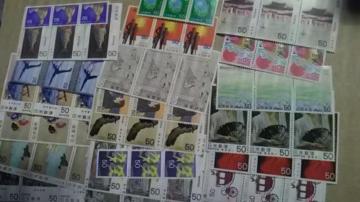 50~؎63Vigpi  5063[4