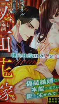ʉԉŁ`ɏВ͋UȂ𗐂`gJIذޕ