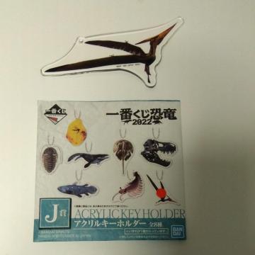 Ԃ@@2022 @J܁@ANL[z_[@D
